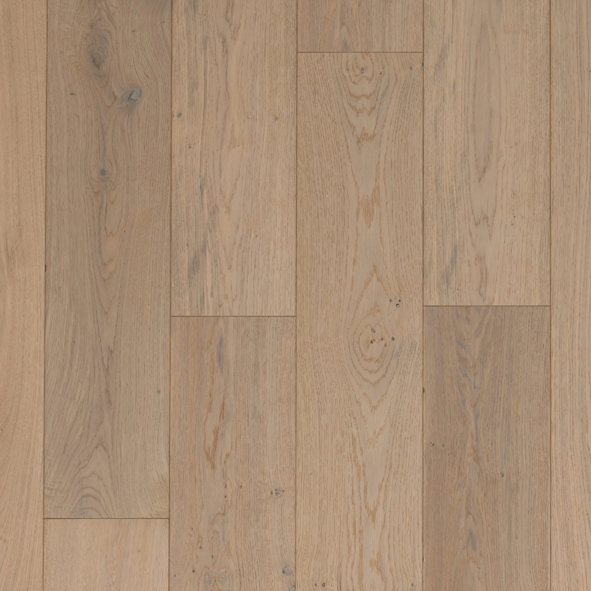 Majesty Oak Cotton Brush & Lacquered Click Engineered Wood Flooring
