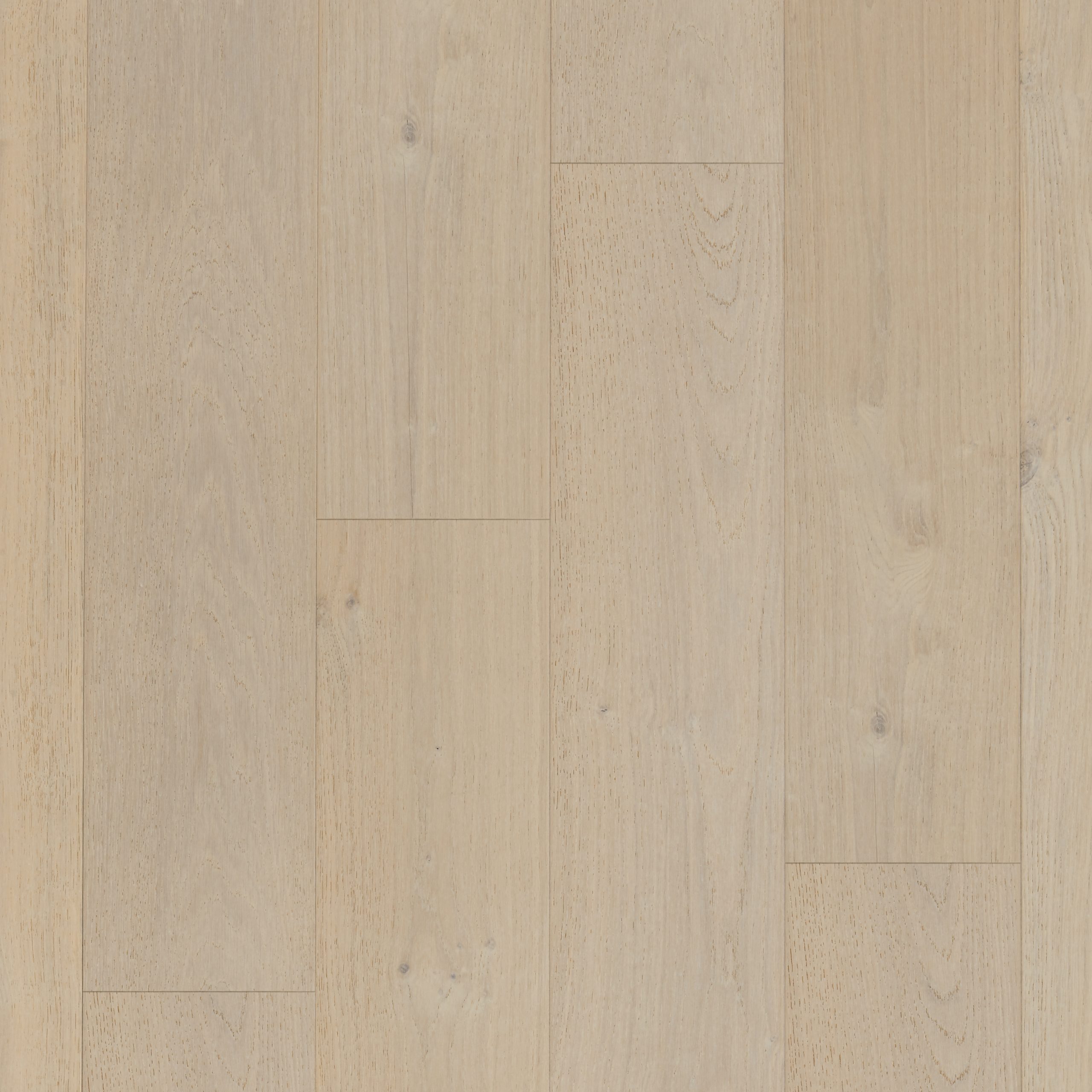 Majesty Oak Pearl Brush & Lacquered Click Engineered Wood Flooring