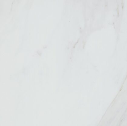 Natural Carrara Double Tile Close Up